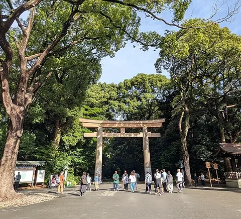 Forested approach and torii at Meiji Jingū.