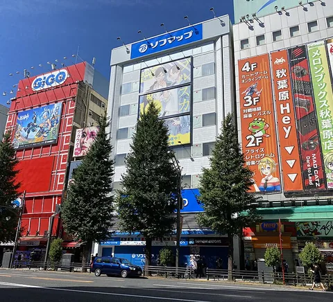 Akihabara specialist-store facades including gaming and collectibles signs.